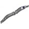 Delphin 2000